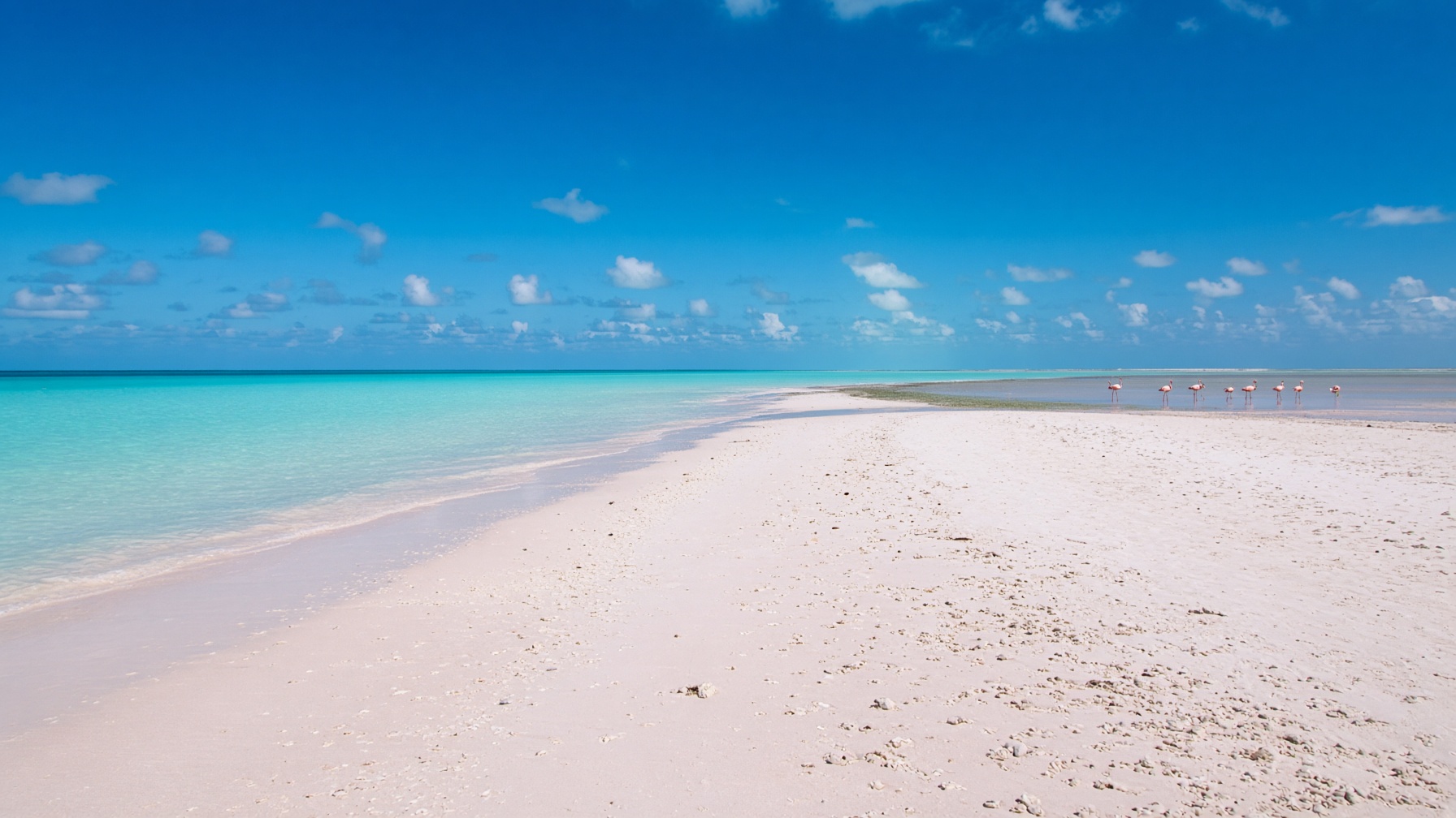 Anegada