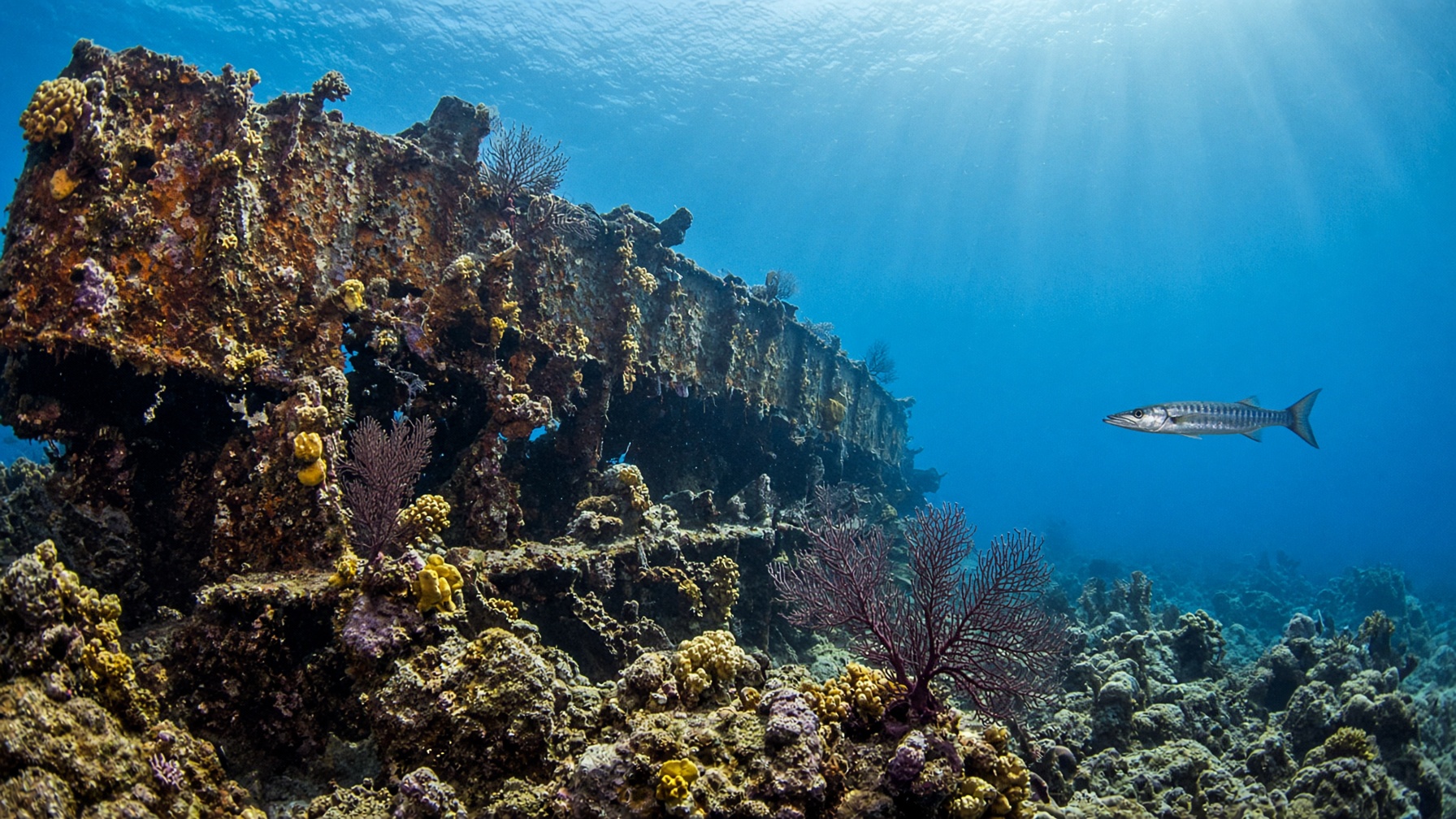 Dive the RMS Rhone